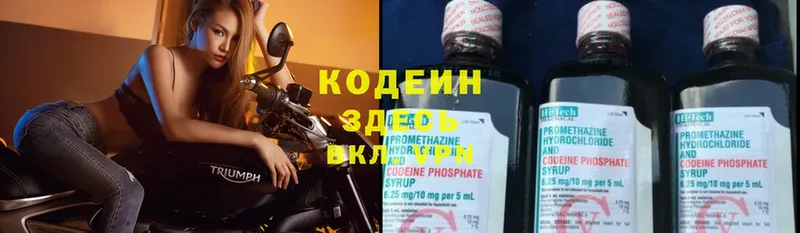 продажа наркотиков  mega сайт  Кодеин Purple Drank  Качканар 